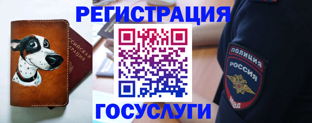 временная регистрация в квартире в Читинской области